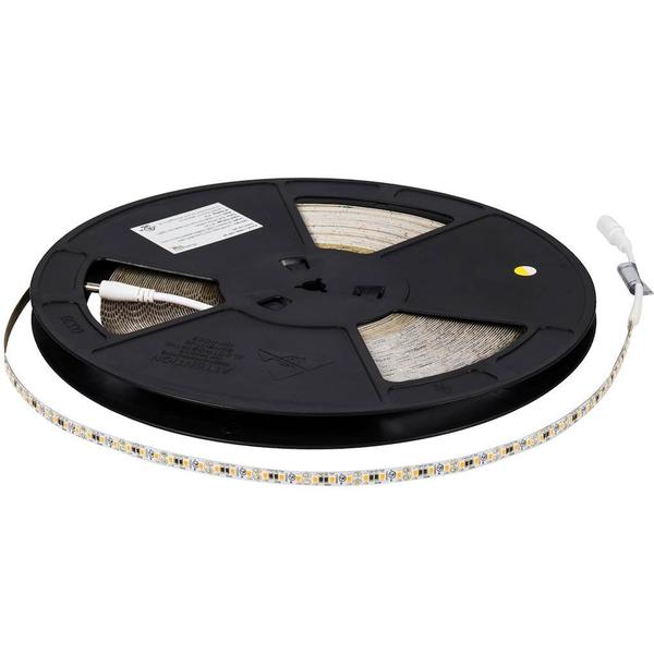 100' 12 volt Daylight Vivid Series Tape Light